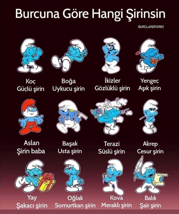 Senin burcun nedir?