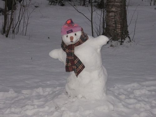 Kardan adam yapmayı becerebiliyor musunuz☃️?