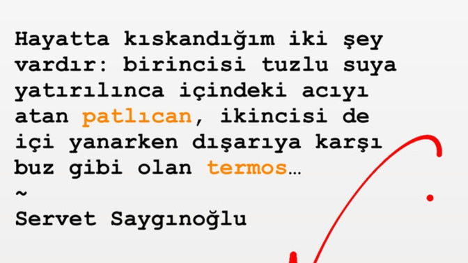 Hayatınızda en çok neyi kıskandınız?