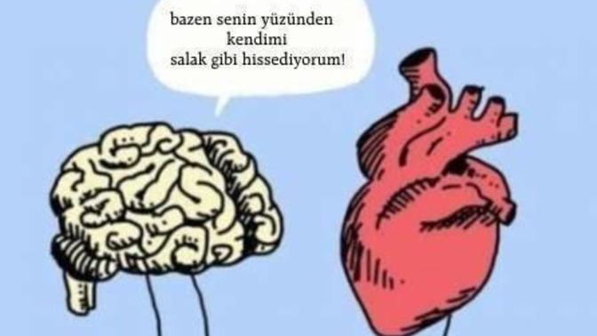 Mantığın mı ağır basar kalbin mi?