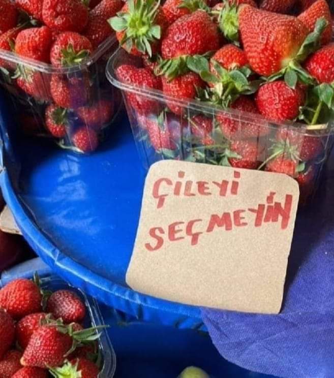 Çileyi kim seçer ki? 🙃🤣
