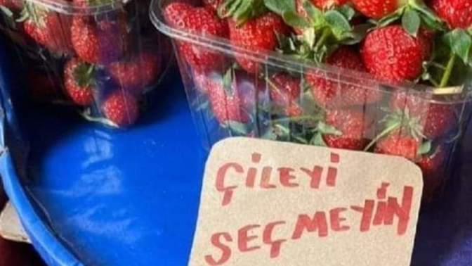 Çilek sever misiniz? Bir oturuşta kaç tane yiyebilirsiniz?