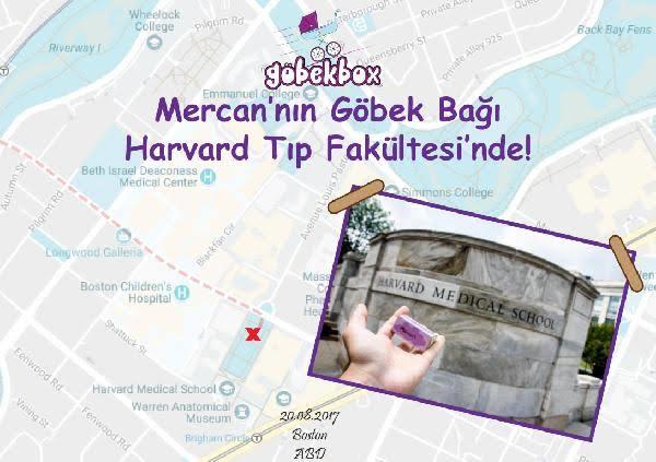 Sizce bebeklerin göbek bağı saklanmalı mı?