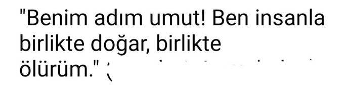 Hayatın anlamı nedir?” dışında herhangi bir sorunun cevabını bulabilecek olsanız, bu soru ne olur?