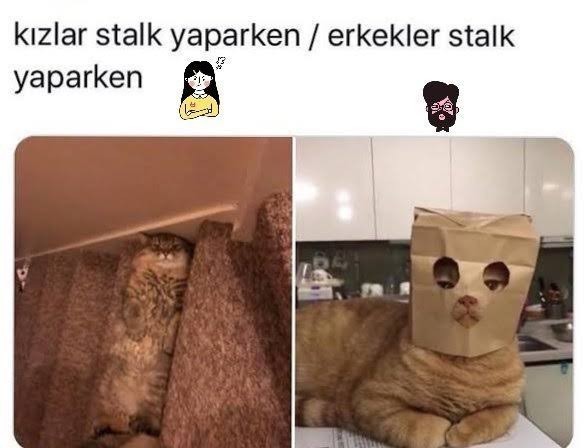 Tanımak istediğiniz birisini stalklar mısınız?