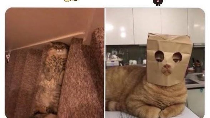 Tanımak istediğiniz birisini stalklar mısınız?