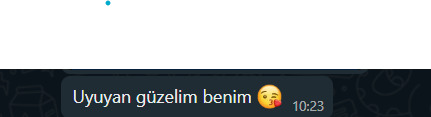 Bu sabah seni en çok mutlu eden şey neydi?