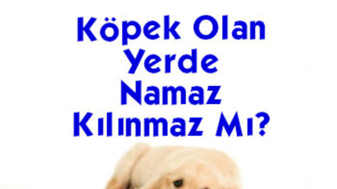 Evinde hem namaz kılıp hem köpek besleyen var mı?
