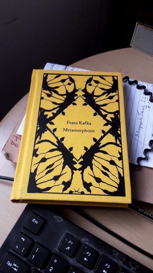 Evde kitap çok diye yeni kitap almaktan vazgeçer misiniz?