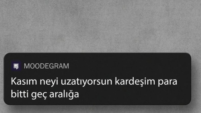 Kasım ayı beklentilerinizi karşıladı mı?