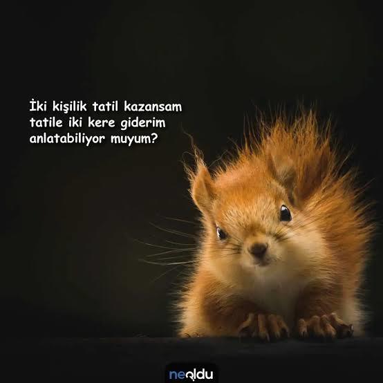 Bu aralar ne kadar yalnızsın?