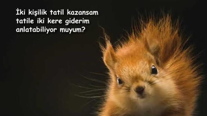 Bu aralar ne kadar yalnızsın?