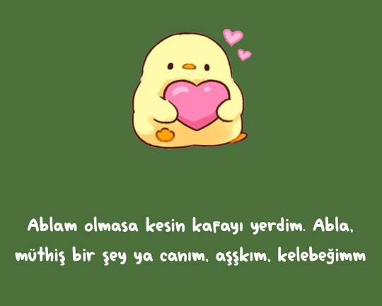 Birisinin ablası olması onu şanslı yapar mı?