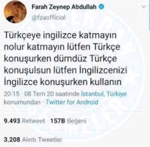 Sohbet ederken İngilizce kelimeler kullanan insanları itici bulur musunuz?