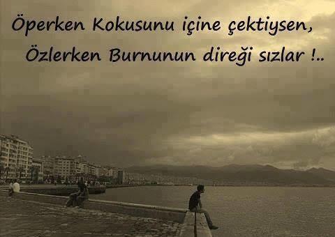 Özlediğinizde burnumuzun direği sızlar mı?