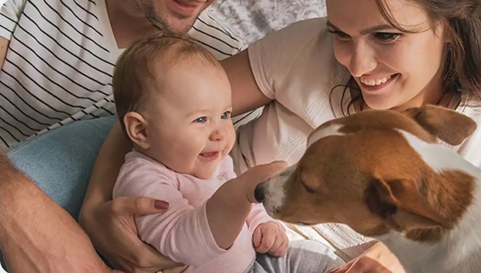 Bebekler ve evcil hayvanlar aynı evde yaşayabilir mi?