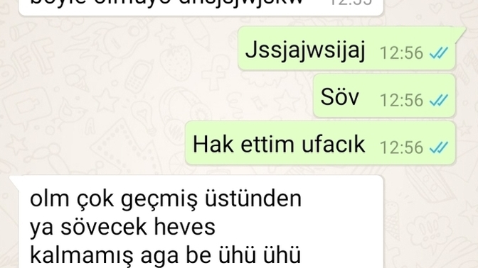 Seviyorlar mı anlamadım?