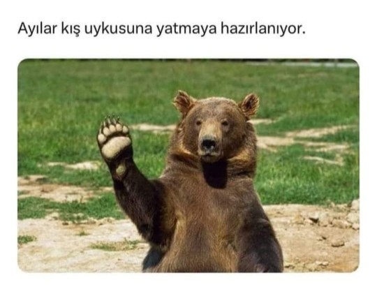 Gün içinde uyumayı seviyor musunuz?