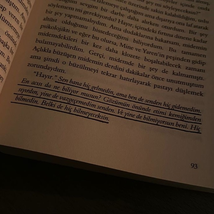 Beyza Aksoy - Siyah Kuğu