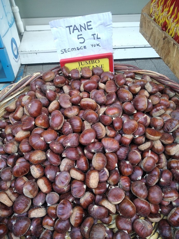 En son neyin fiyatına şoke oldun?