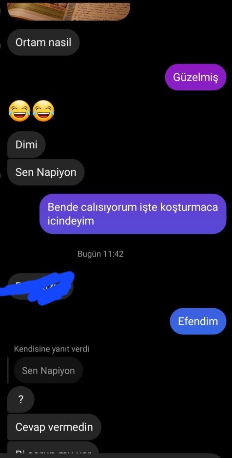 1.5 yıldır konustugum kızla instağramdan konusuyoruz sadece diyorum ki watsap ver kullanmıyorum diyor kafayı yicem mesajlardetayda?