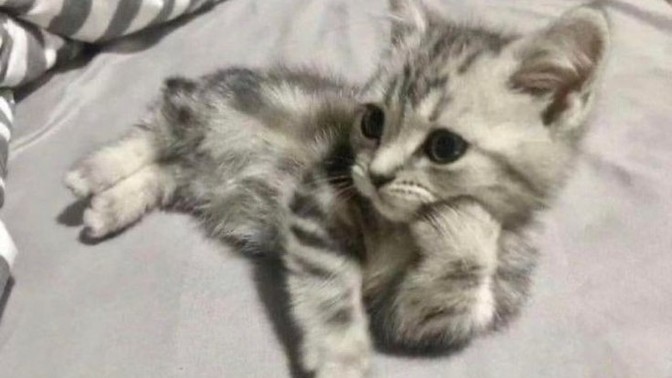 Üzgün olduğunuz zaman normalden daha fazla mı uyursunuz?