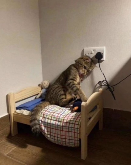 Mental durumunuz nasıl?