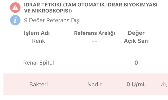 İdrar Tahlili Sonucumda Problem Var mi Anlayan Varsa Yardimci  olur musunuz?