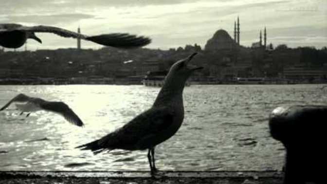 BİR İNSANIN GÜVENİ NEDEN DEVAMLI İNSANLAR TARAFINDAN SARSINTIYA UĞRATILIR?
