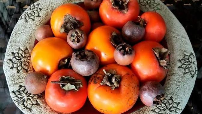 Kışın gözdelerinden favoriniz hangisi? Cennet hurması mı, ayva mı?