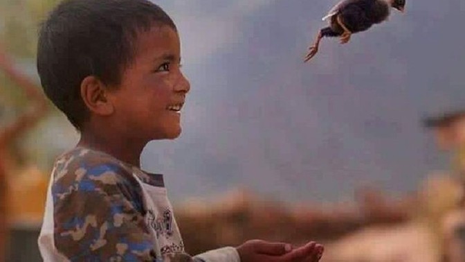 Merhametin hangi konularda devre dışı kalır?