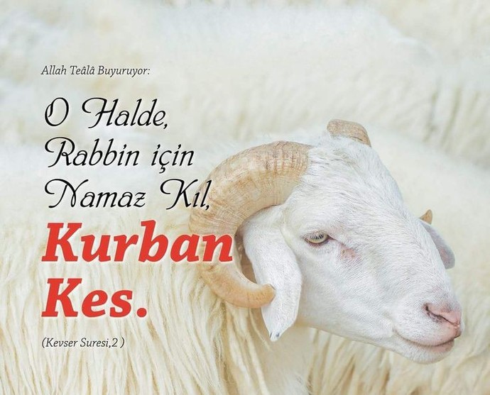 Kurban kesmek hayvan katletmek midir?