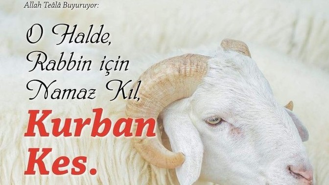 Kurban kesmek hayvan katletmek midir?