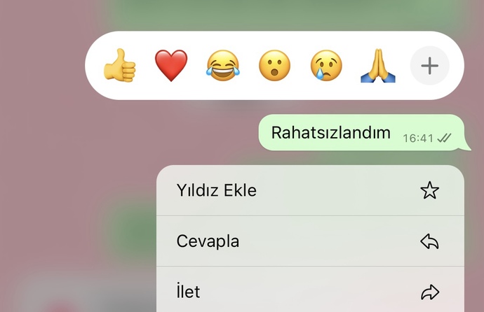 Aramayı açmadım rahatsızım yazdım dönüş yapmazsa ayrılıy mı?