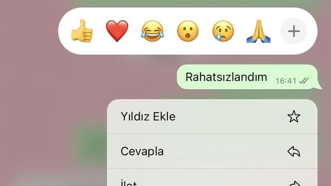 Aramayı açmadım rahatsızım yazdım dönüş yapmazsa ayrılıy mı?