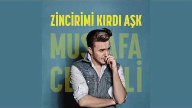 Geceye şarkı bırakır mısınız canolar?