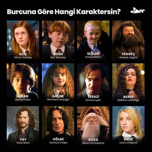 Burcuna göre hangi Harry Potter karakterisin?