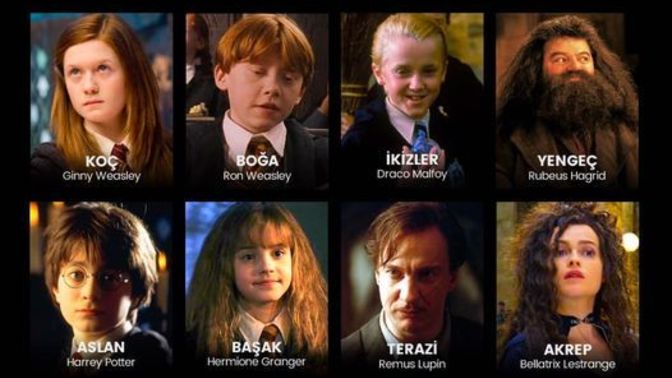 Burcuna göre hangi Harry Potter karakterisin?