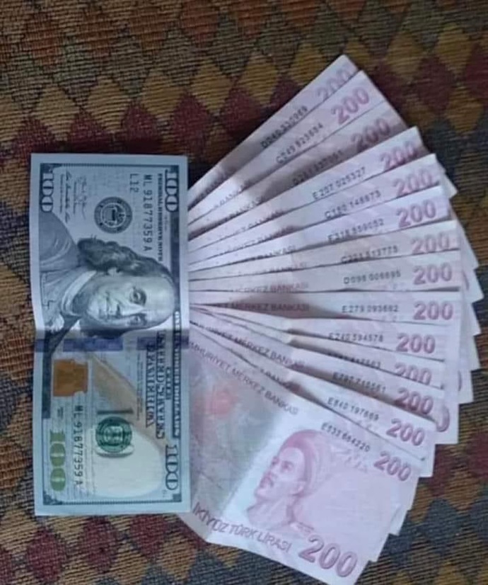 ₺ neden bu kadar çok değer kaybediyor?