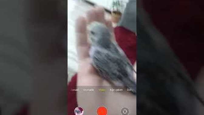 Herkes evlenip coluk cocuk sahibi olmak zorunda mi?