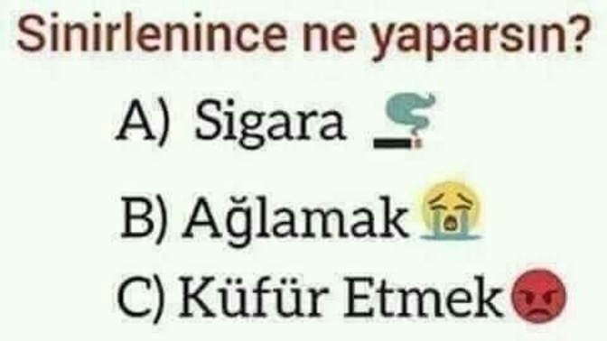 Sinirlenince ne yaparsın, hangisi sana uyuyor?