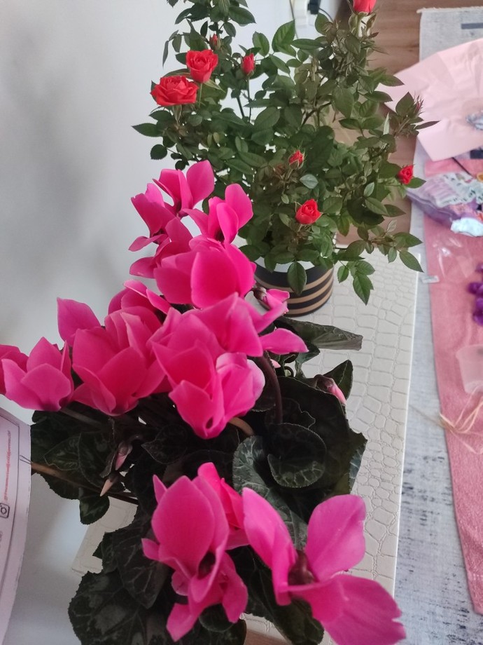 Öğretmenler gününde çiçek aldığınız birisi oldu mu?
