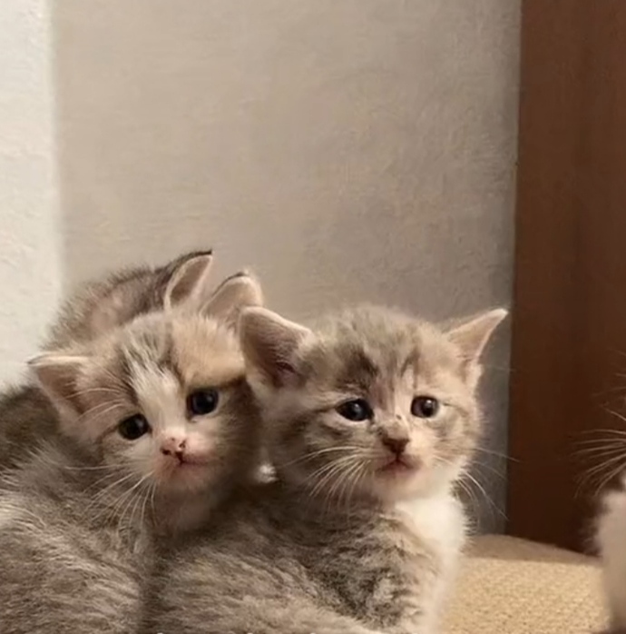 Yüzünü güldüren kimler var hayatında☺️?