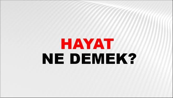 Sizce hayatı ne anlamlı kılar?