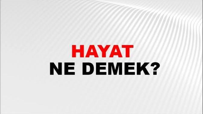 Sizce hayatı ne anlamlı kılar?