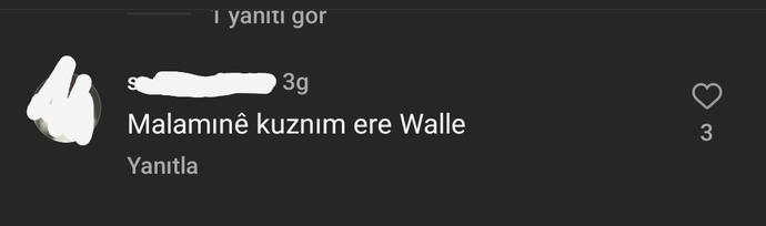 Biri şunu çevirebilir mi ne demiş?
