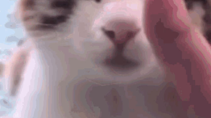Kendinizde en sevmediğiniz özelliğiniz nedir🦋?