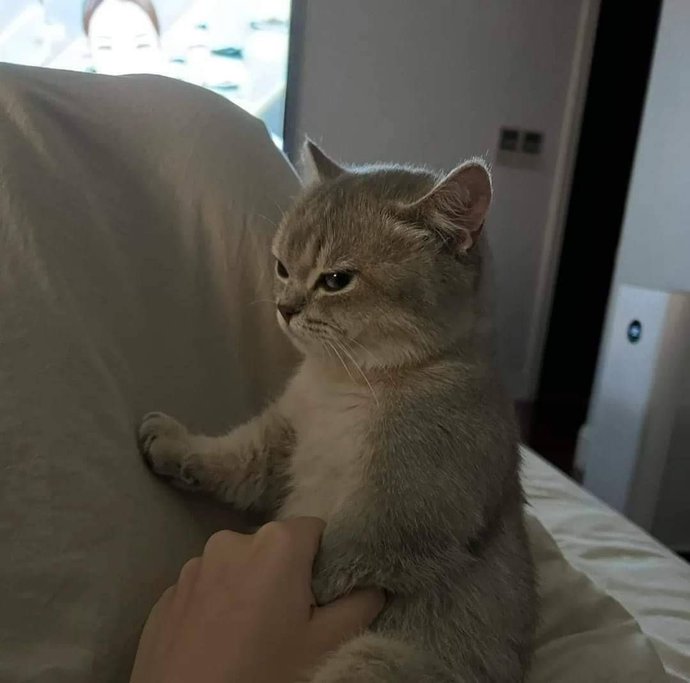 Sinirli bir insan mısınız?