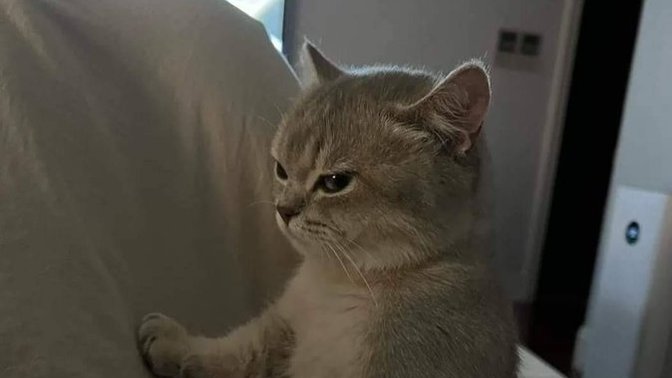 Sinirli bir insan mısınız?