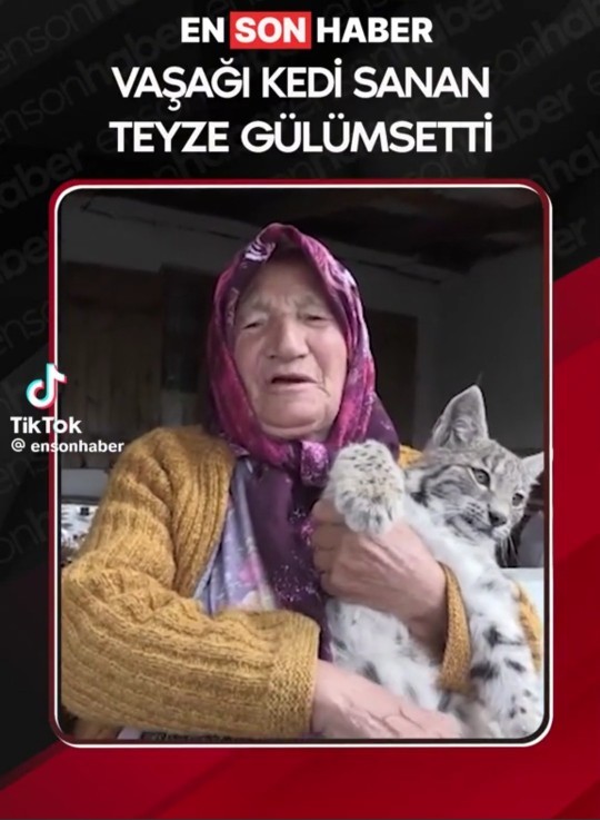 Yaşlanınca nasıl olursunuz sizce?